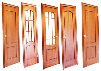 skin doors in kerala